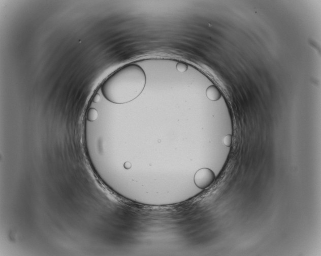 X0000096700862200803041320