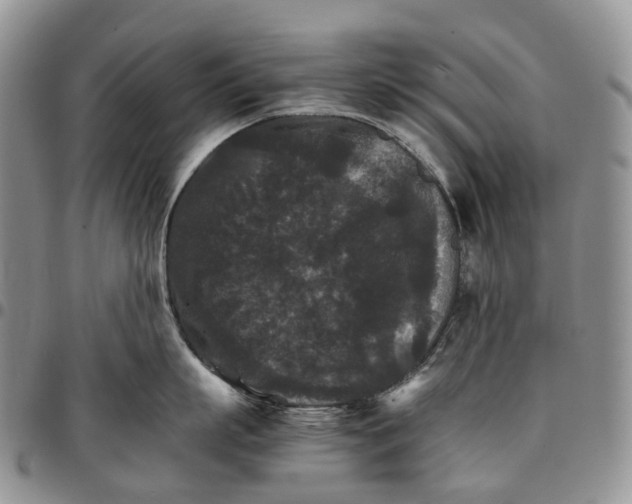 X0000096700863200803041320