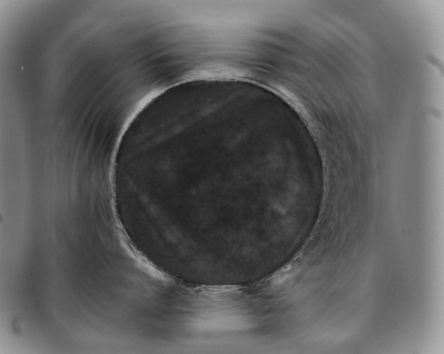 X0000096700864200803041320