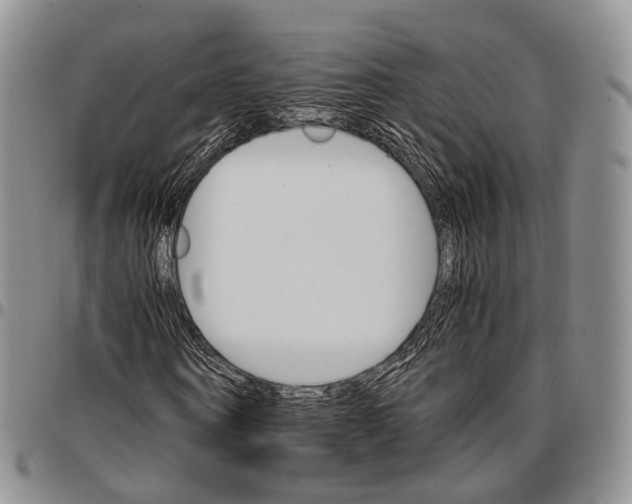 X0000096700866200803041319