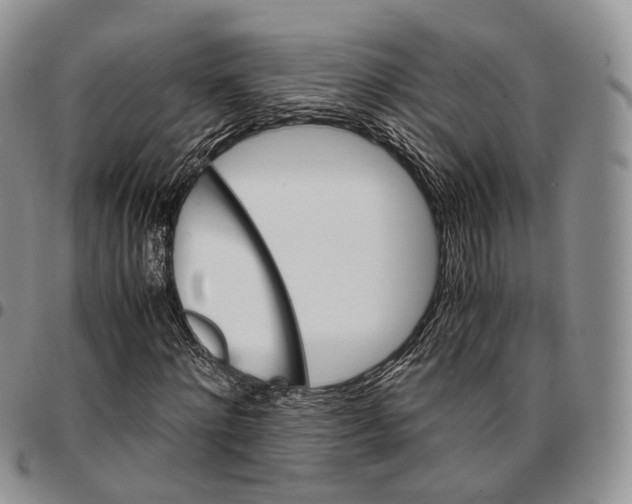 X0000096700868200803041319