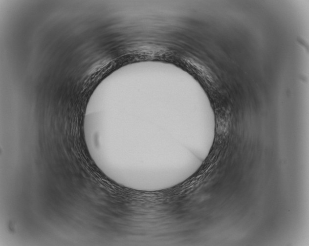 X0000096700869200803041319