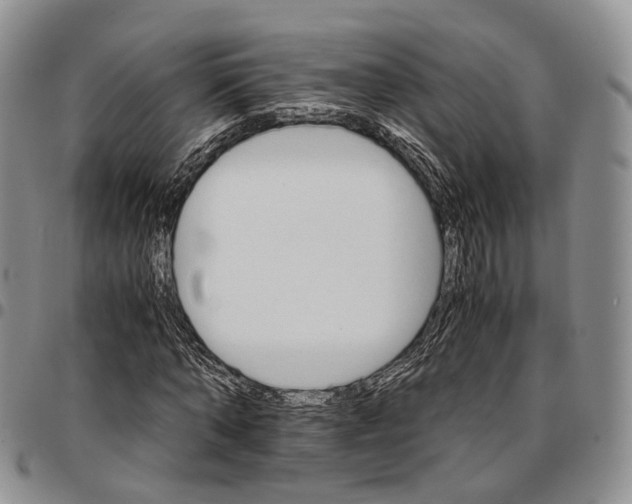 X0000096700870200803041319