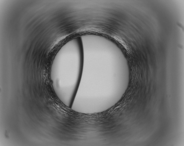 X0000096700872200803041319