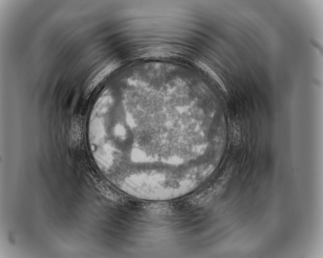 X0000096700874200803041319