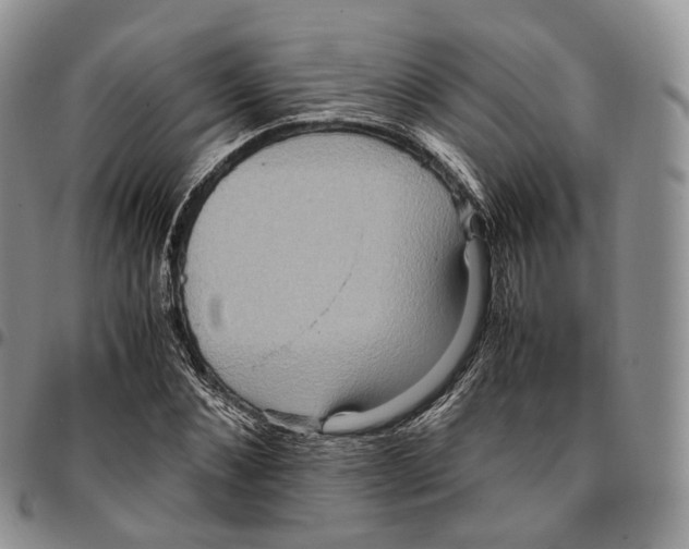 X0000096700876200803041319