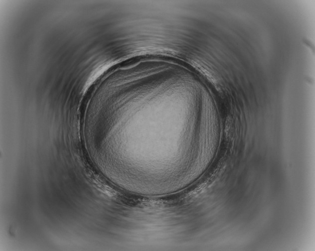 X0000096700877200803041319