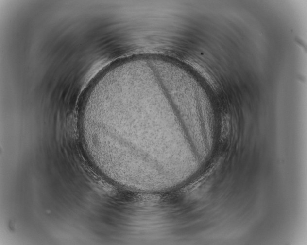 X0000096700878200803041319