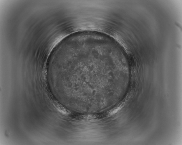 X0000096700879200803041319