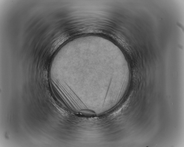 X0000096700881200803041319