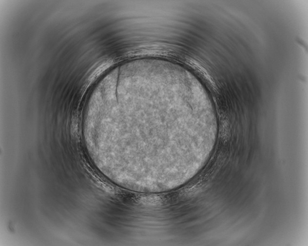 X0000096700882200803041319