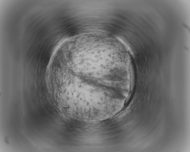 X0000096700883200803041319