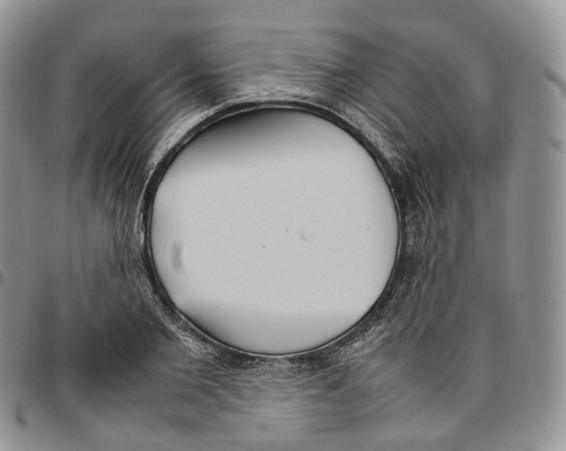 X0000096700885200803041319