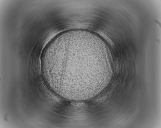 X0000096700886200803041319