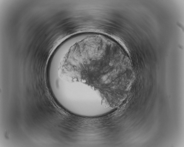 X0000096700887200803041319