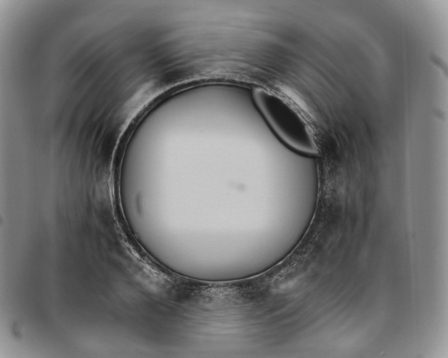 X0000096700888200803041319