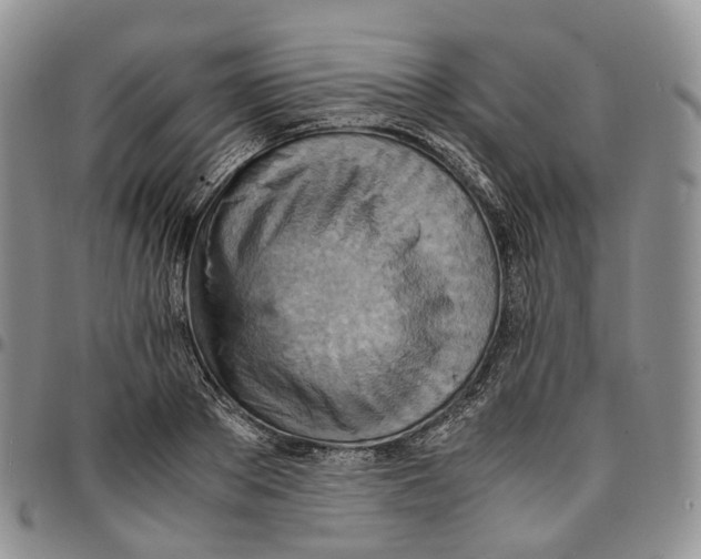 X0000096700889200803041319