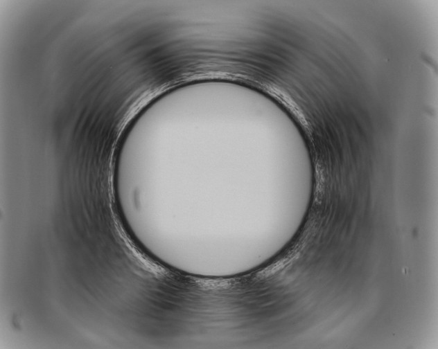 X0000096700890200803041319