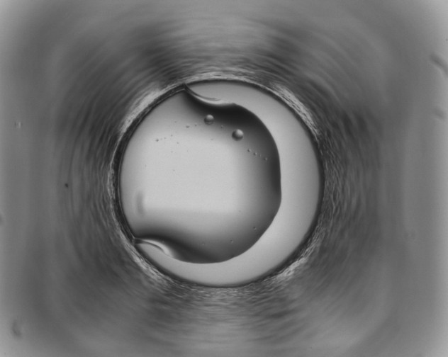 X0000096700893200803041319