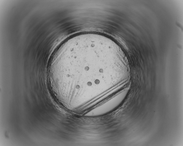 X0000096700895200803041319