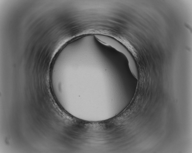X0000096700896200803041319