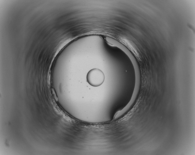 X0000096700900200803041319