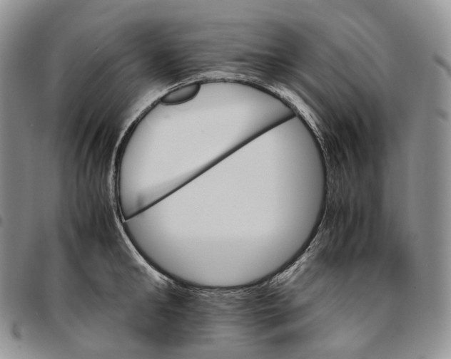 X0000096700902200803041318