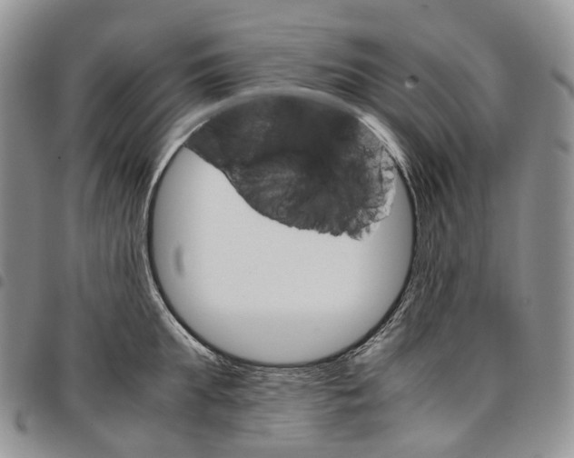 X0000096700903200803041318