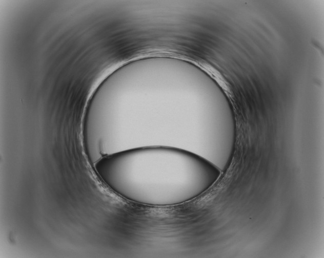 X0000096700904200803041318