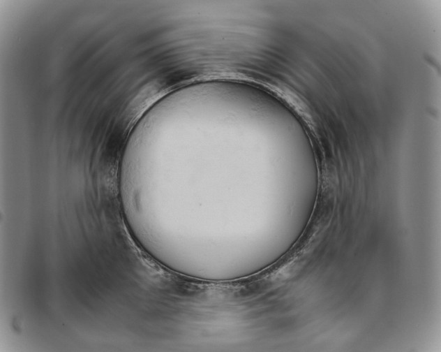 X0000096700905200803041318