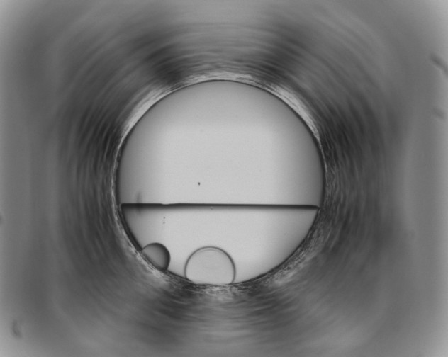 X0000096700906200803041318