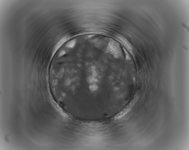X0000096700907200803041318