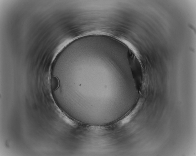 X0000096700910200803041318