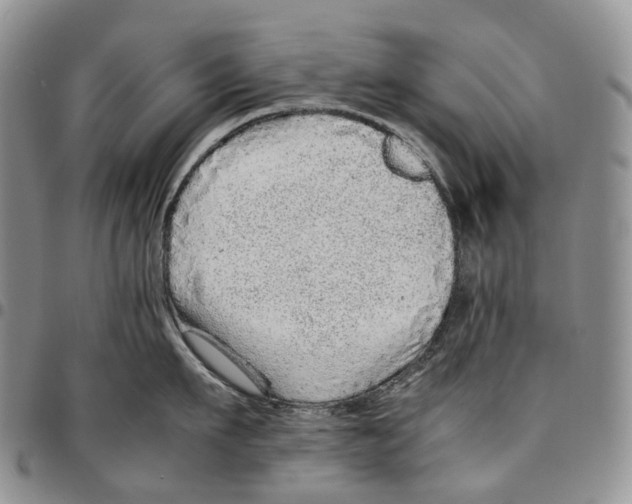 X0000096700911200803041318