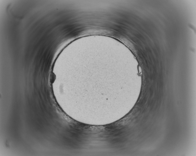 X0000096700912200803041318