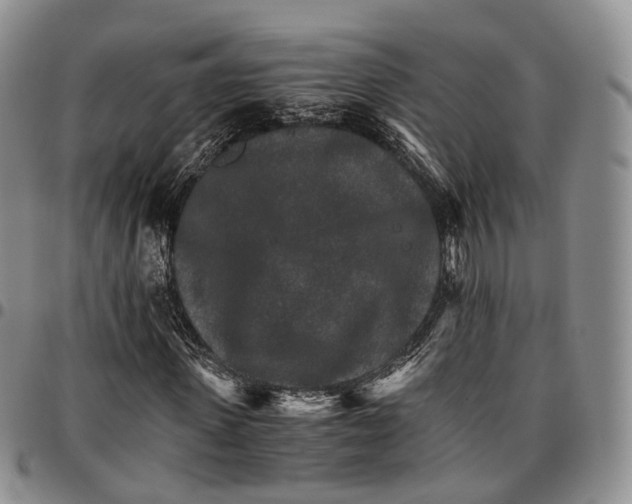 X0000096700915200803041318