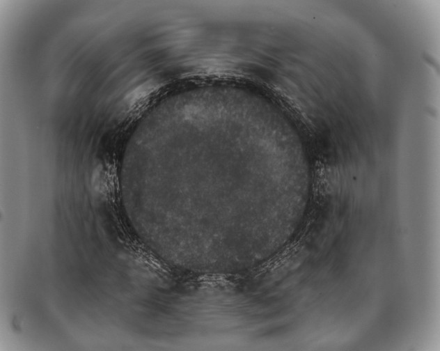 X0000096700918200803041318