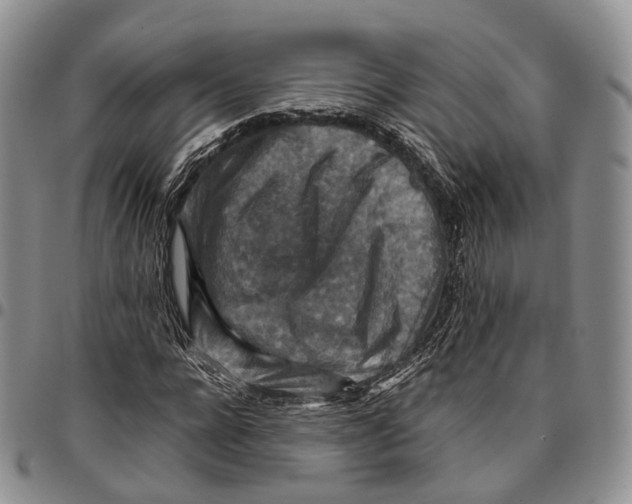 X0000096700920200803041318
