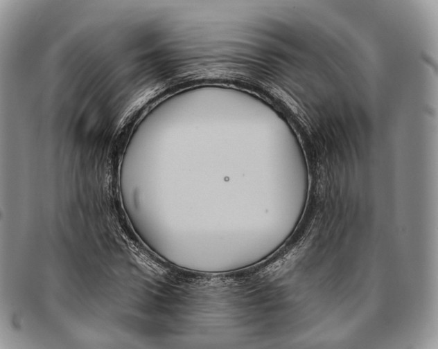 X0000096700922200803041318