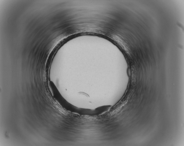 X0000096700924200803041318