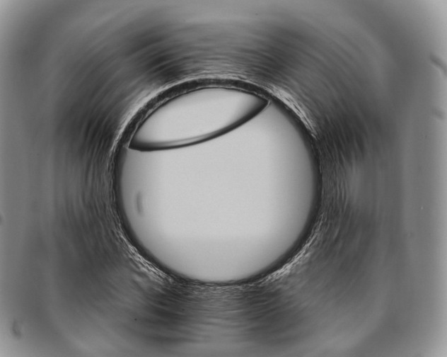X0000096700926200803041318