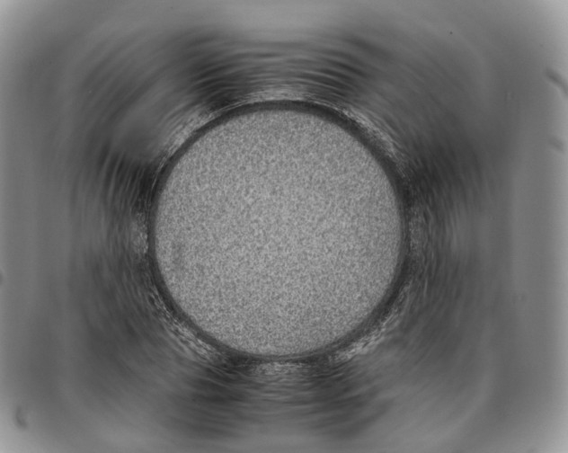 X0000096700929200803041318