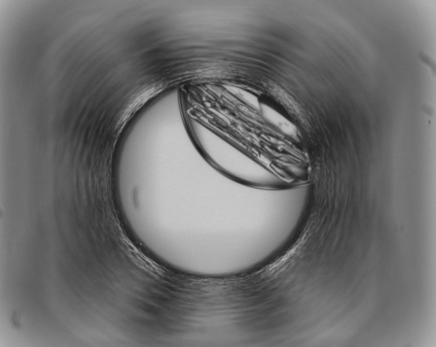 X0000096700930200803041318