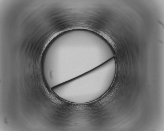 X0000096700934200803041318