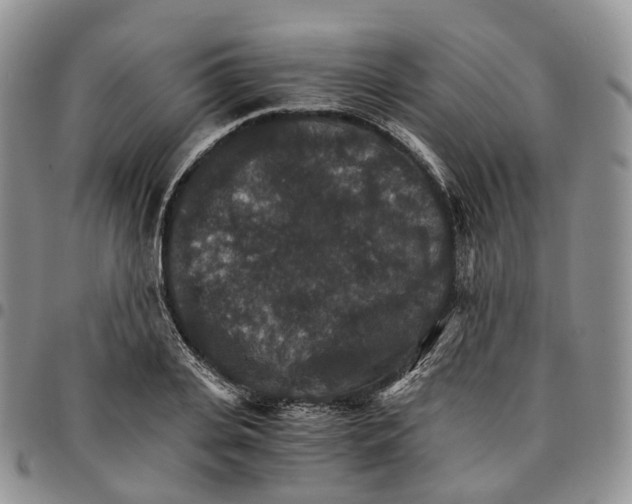 X0000096700935200803041318