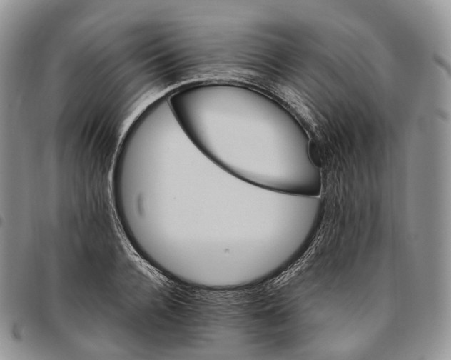X0000096700936200803041318