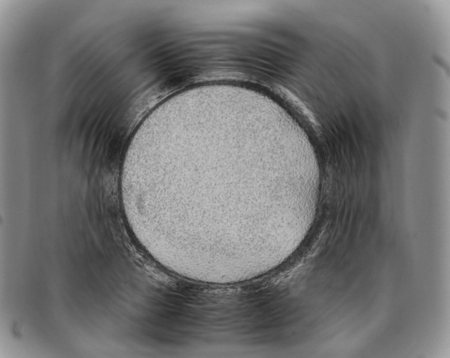 X0000096700937200803041318
