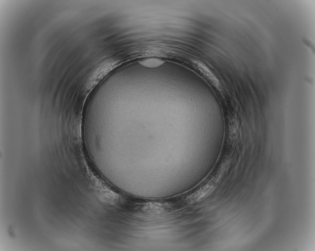 X0000096700938200803041318