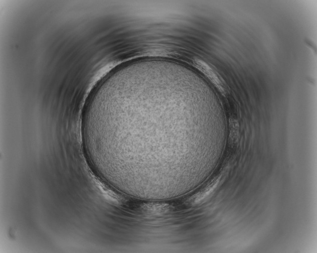 X0000096700939200803041318