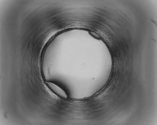 X0000096700942200803041318
